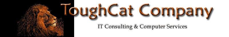 Toughcat Company Computer Services Banner